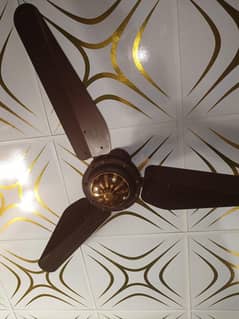 1 ceiling fan
