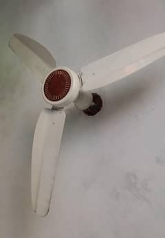 GFC Ceiling Fans (100% Copperl)