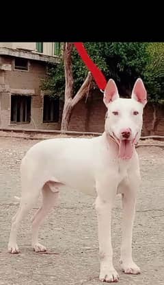 Guwahati