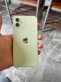I phone 12