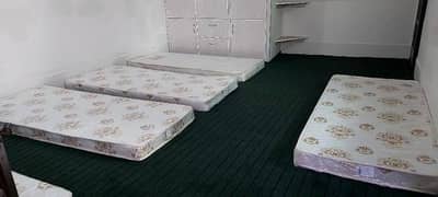 rawalpindi boys hostel
