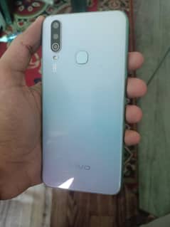 Vivo