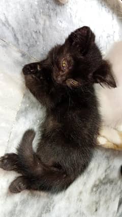 for