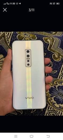 Vivo