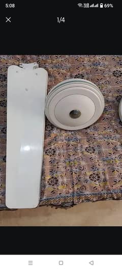fan