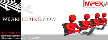 Customer Support Executive