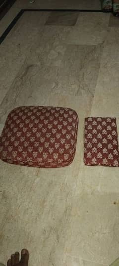 chairs cushion