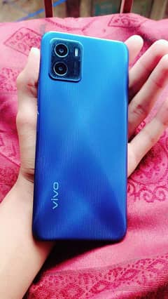 vivo