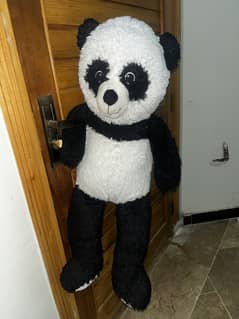 Panda for sale