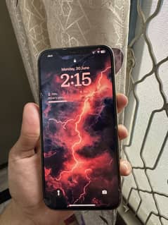 iPhone 12 Pro Max approved