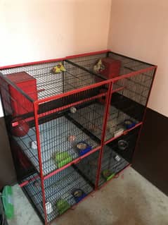 cage new condition