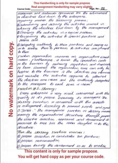 Content Writer