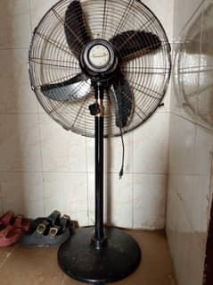 stand fan