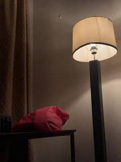 Long Standing Wooden Floor Lamp