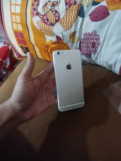 iPhone 6 plus
