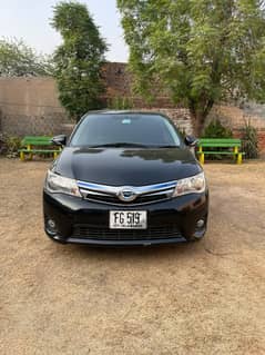 Black Axio hybrid