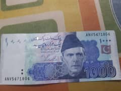Qaidi
