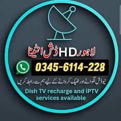 dish