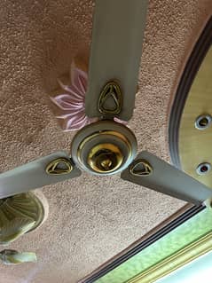 1 fan available