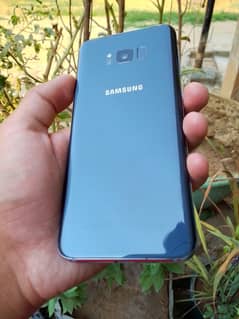 Galaxy S8+
