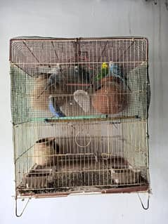 cage