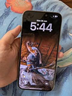 iPhone
