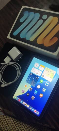 iPad