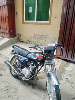 Honda RED 125 2023/2024 Model