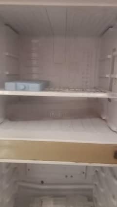 Kenwood
