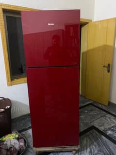 fridge