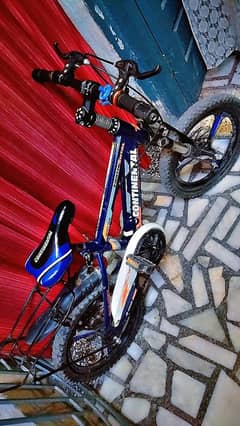 kids bicycle