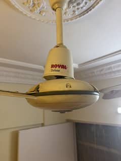 5 Ceiling Fans For sale 3000 each