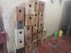 kikcar boxes