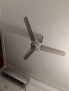 ceiling fan available for sale