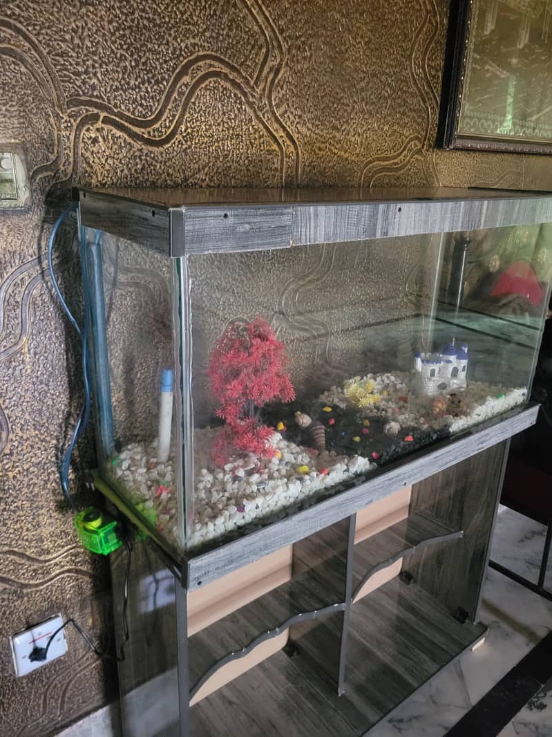 3 Ft Fish Aquarium setup 0