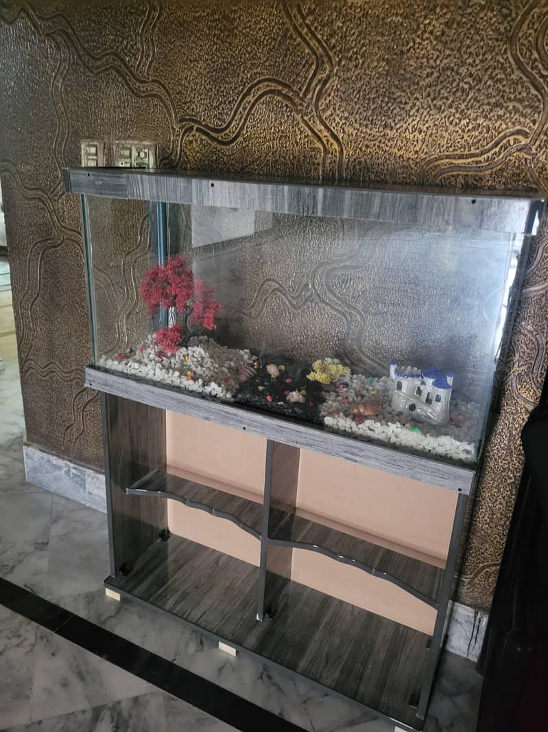 3 Ft Fish Aquarium setup 3