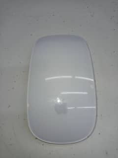 Apple Mouse Magic 1