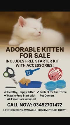 get this fur ball baby now‼