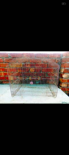 2Used caught All okay in little price