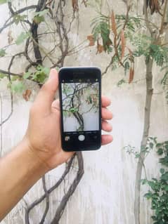 iphone 6s pta official approval