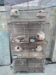 cage