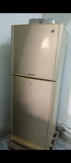 pel medium size fridge