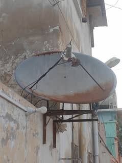 dish