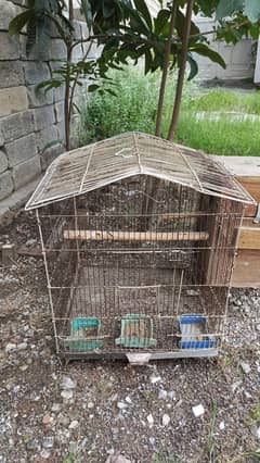 Birds Cage