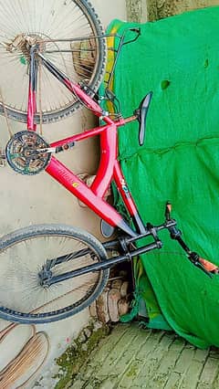 cycle