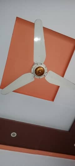 Ceiling