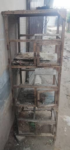 birds cage