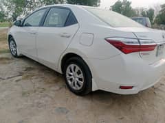 Brand new caR