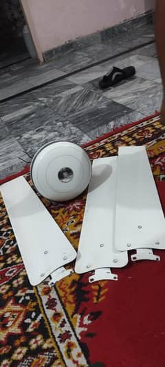 ceiling fan