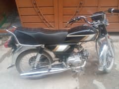Union Star 70cc 2025
